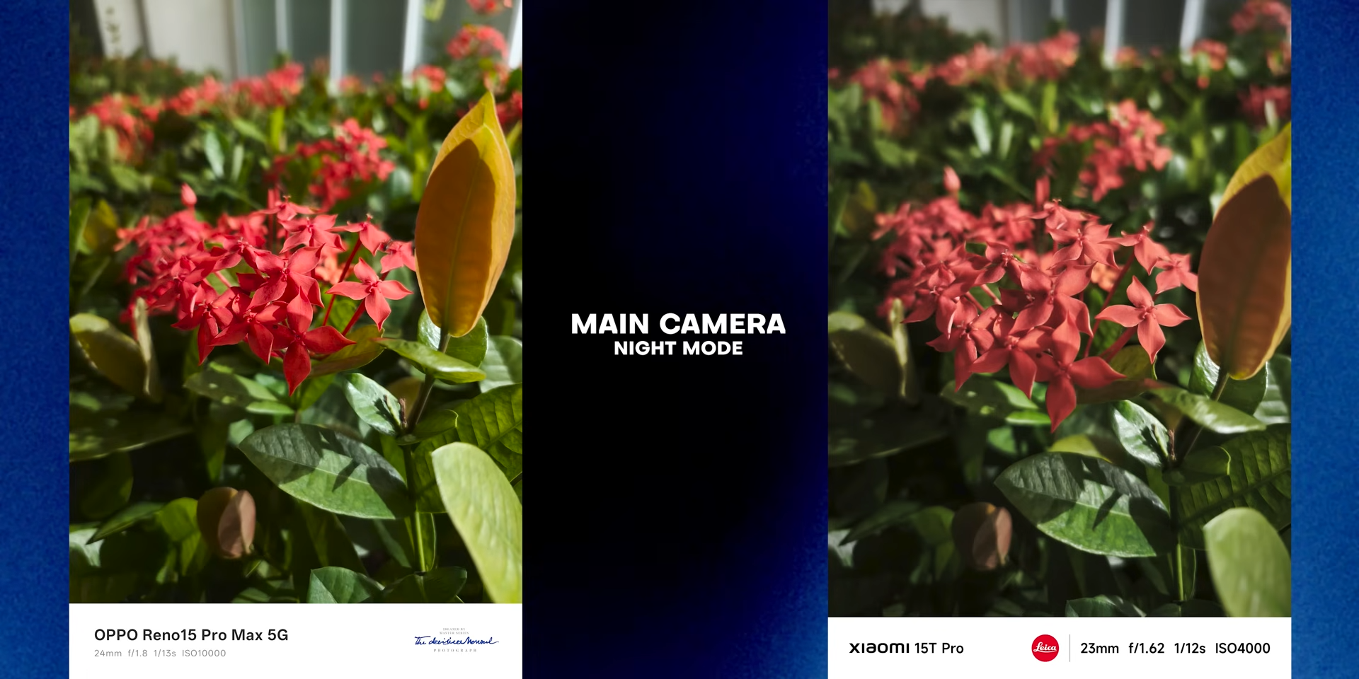Perbandingan foto night mode bunga antara OPPO Reno 15 Pro Max dan Xiaomi 15T Pro