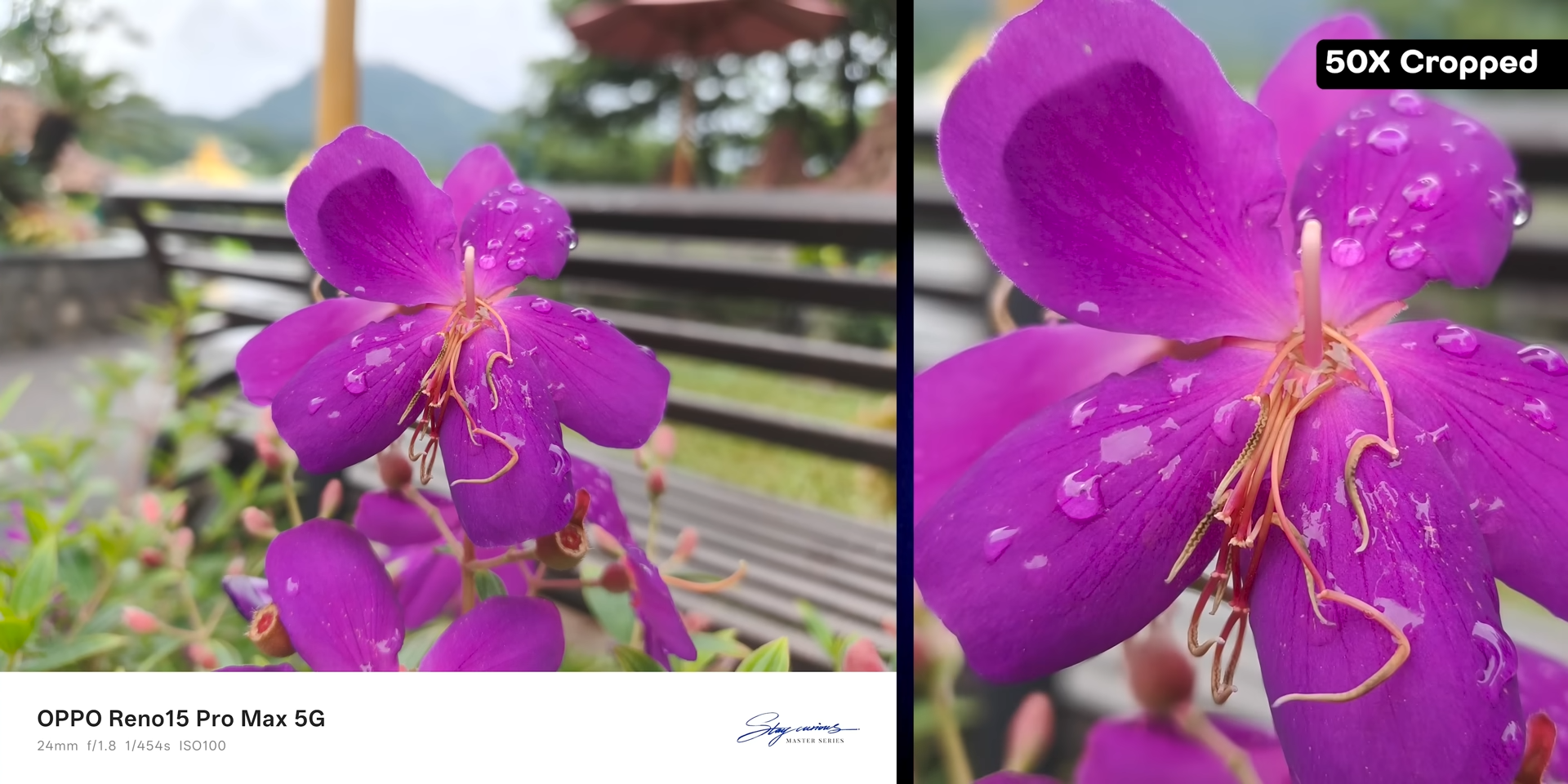 Detail tetap tajam bahkan setelah di-crop 50x, sensor 200MP terbukti punya cadangan resolusi yang besar