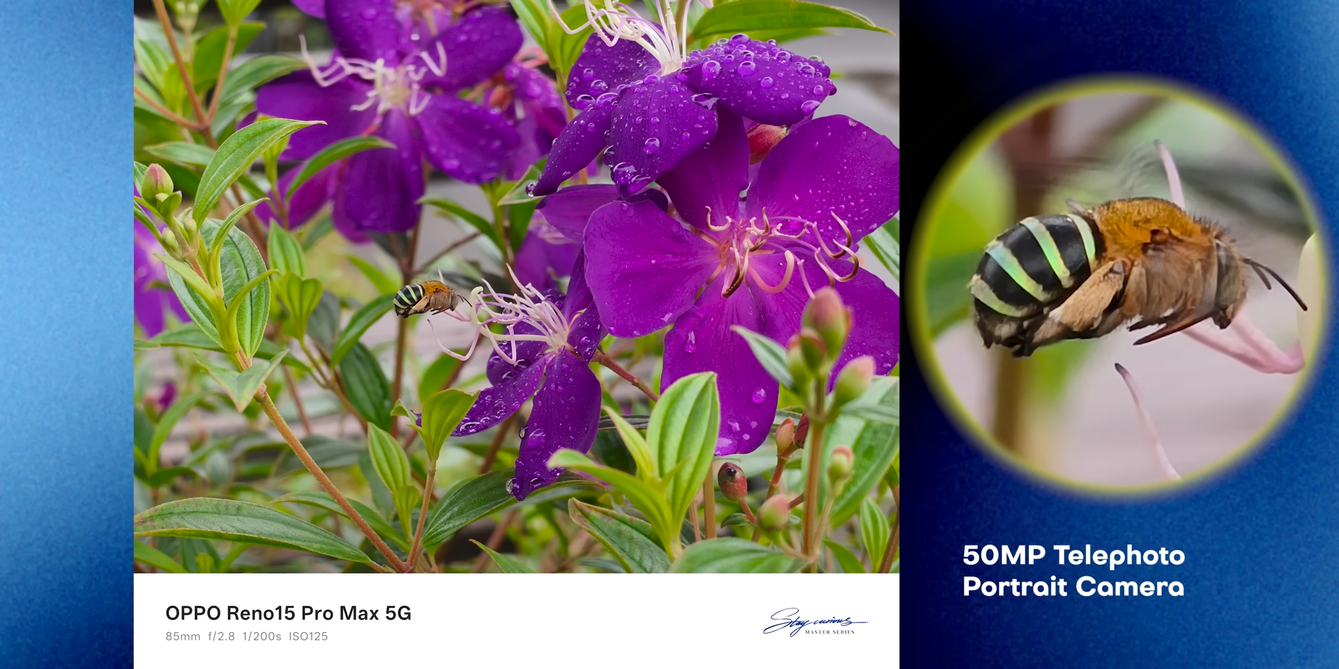 Sensor 200MP dengan shutter speed tinggi berhasil membekukan lebah yang sedang terbang dengan detail tajam