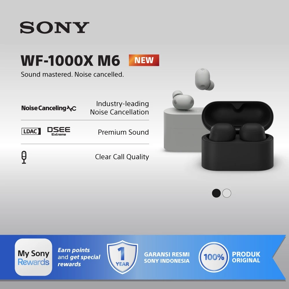 SONY WF-1000XM6 Noise Canceling Truly Wireless / WF1000XM6