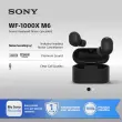SONY WF-1000XM6 Noise Canceling Truly Wireless / WF1000XM6