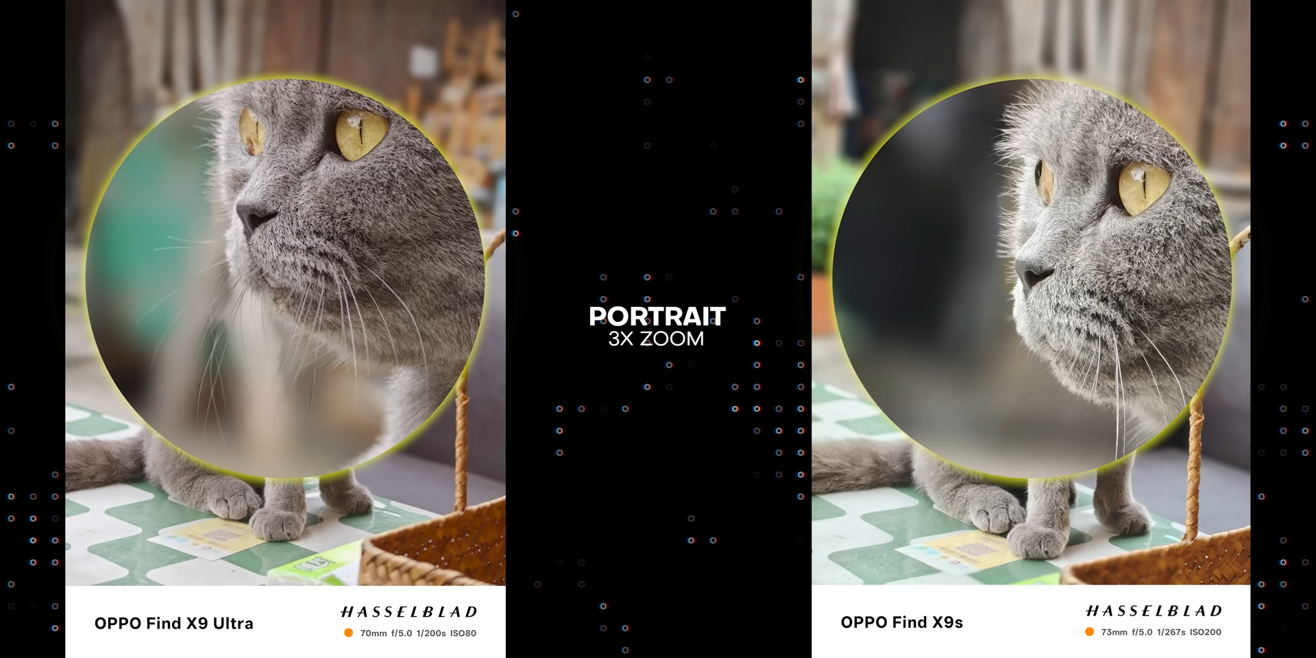 Perbandingan hasil foto portrait kucing 3x dengan Find X9 Ultra dan Find X9s