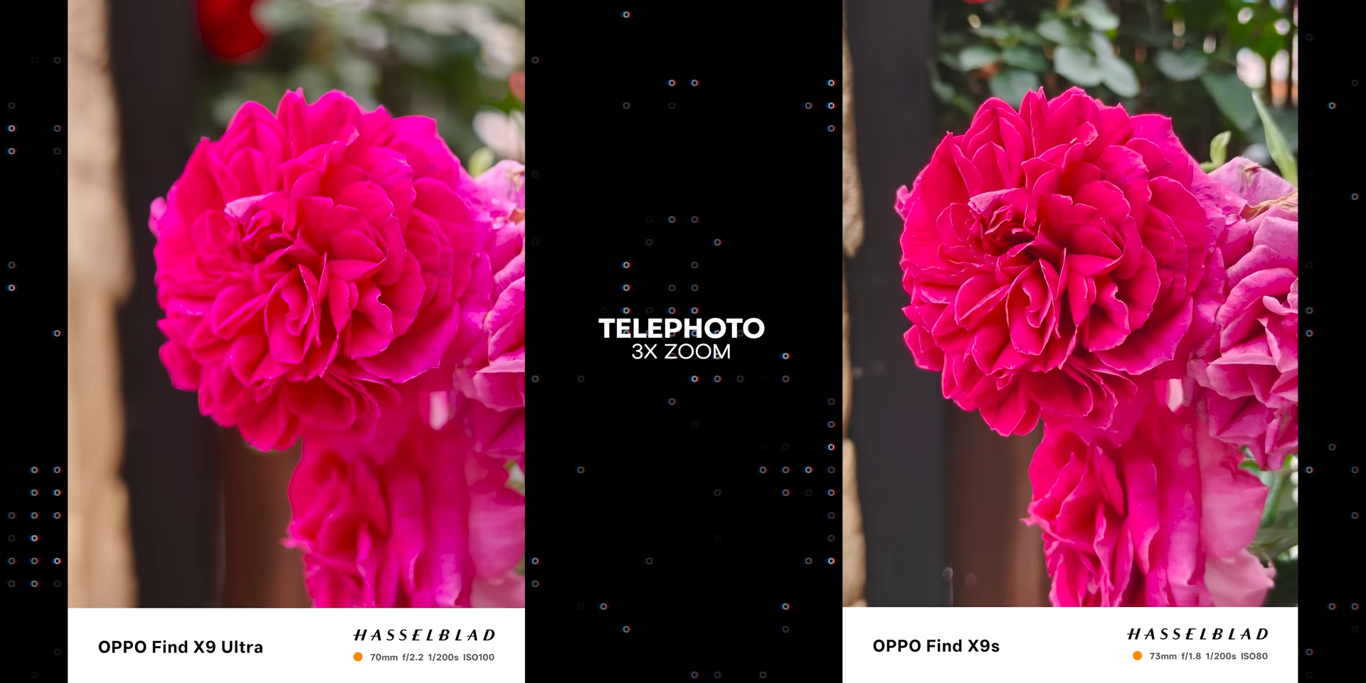 Perbandingan hasil foto bunga telephoto 3x dengan Find X9 Ultra dan Find X9s