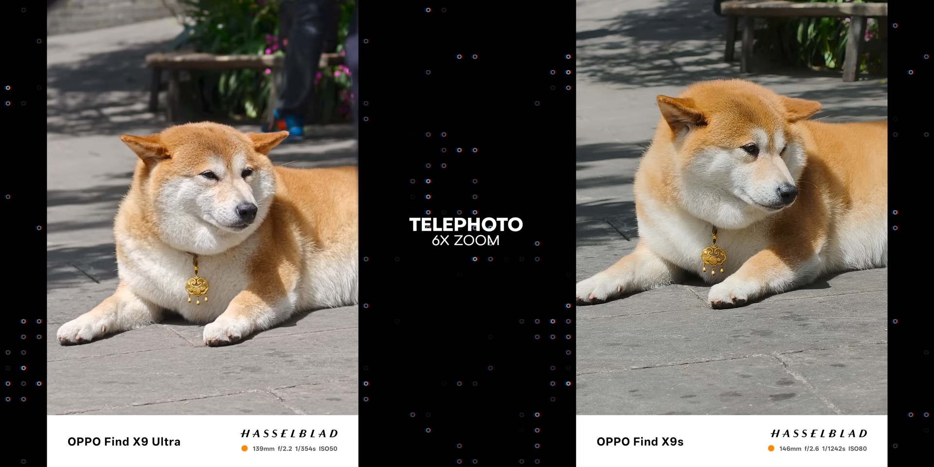 Perbandingan hasil foto anjing telephoto 6x dengan Find X9 Ultra dan Find X9s