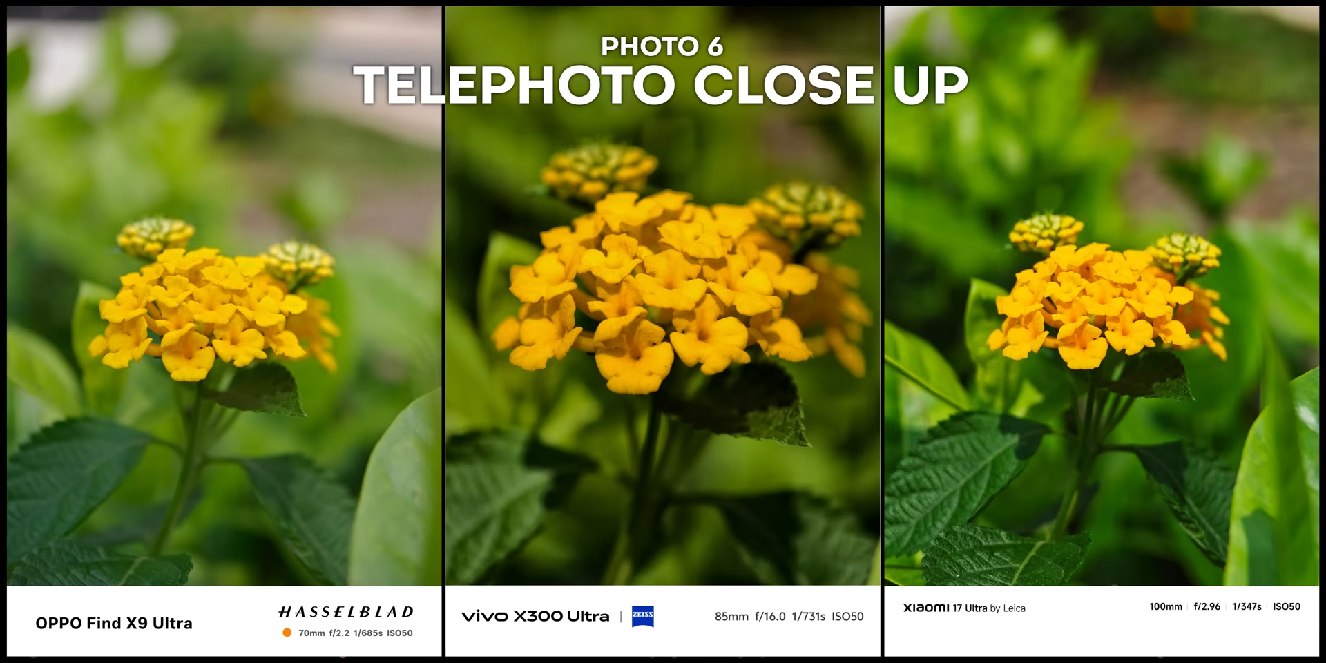 Perbandingan hasil foto close up bunga