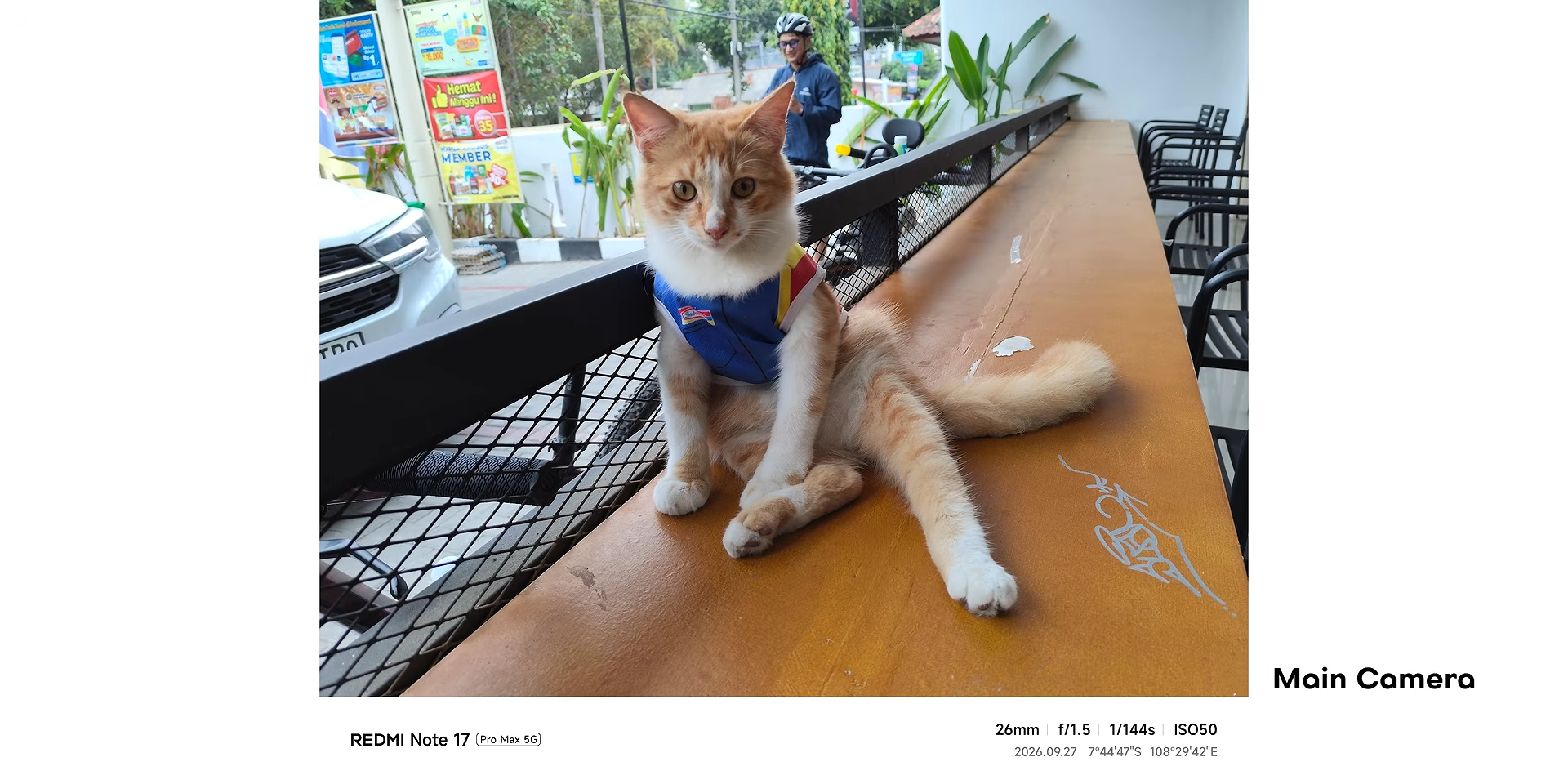 Hasil foto kucing dengan main camera Redmi Note 17 Pro Max